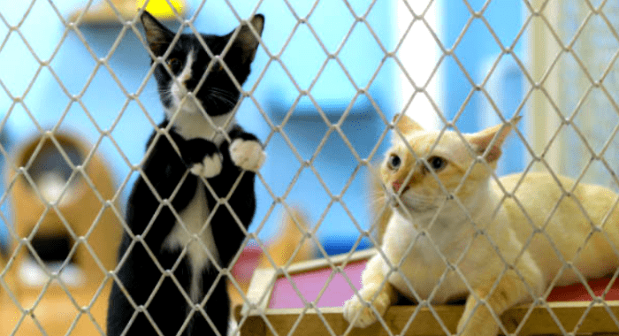 foto_web_-_servicios-29