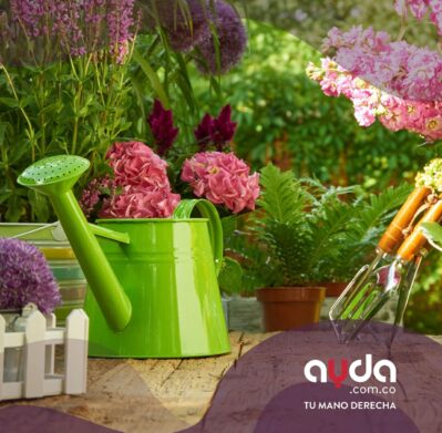 Guía de jardinería en casa