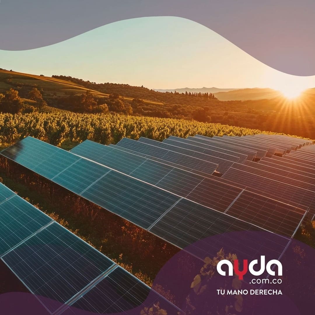 Paneles solares ideales para lograr la eficiencia energética